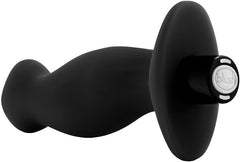 Blush Vibe Platinum Vibrating Prostate Massager