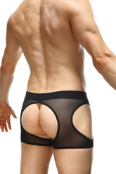 Boxer Mauny Jack-O-Lantern