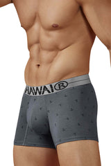Gray hawaiian boxer briefs with anchor pattern and white waistband with brand logo made from cotton blend