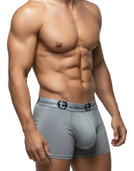 WildmanT Modal Big Boy Pouch 5" Inseam Boxer Brief Gray