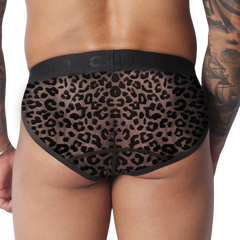 Sheer leopard print briefs with black trim and a wide, logo-branded elastic waistband.