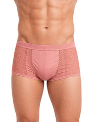 TARTARUS LACE BOYSHORT