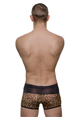 Tartarus Peakaboo Trunk