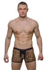 Tartarus Peakaboo Trunk