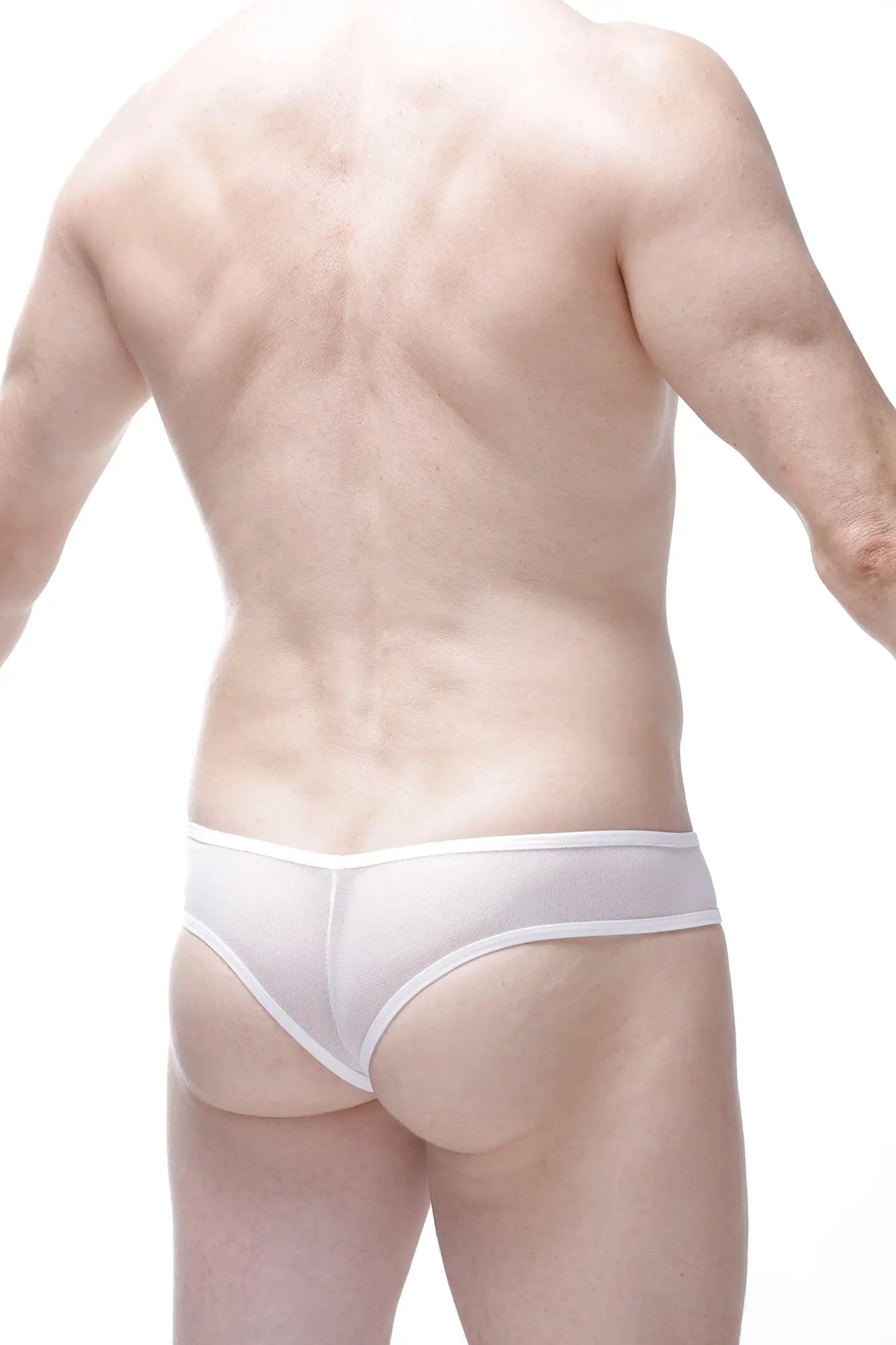 White sheer mesh bikini bavent kitty briefs with thin white waistband front view