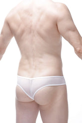 White sheer mesh bikini bavent kitty briefs with thin white waistband front view