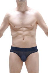 Navy blue sheer mesh bikini briefs with solid navy waistband shown from the back in bikini chisa net navy style