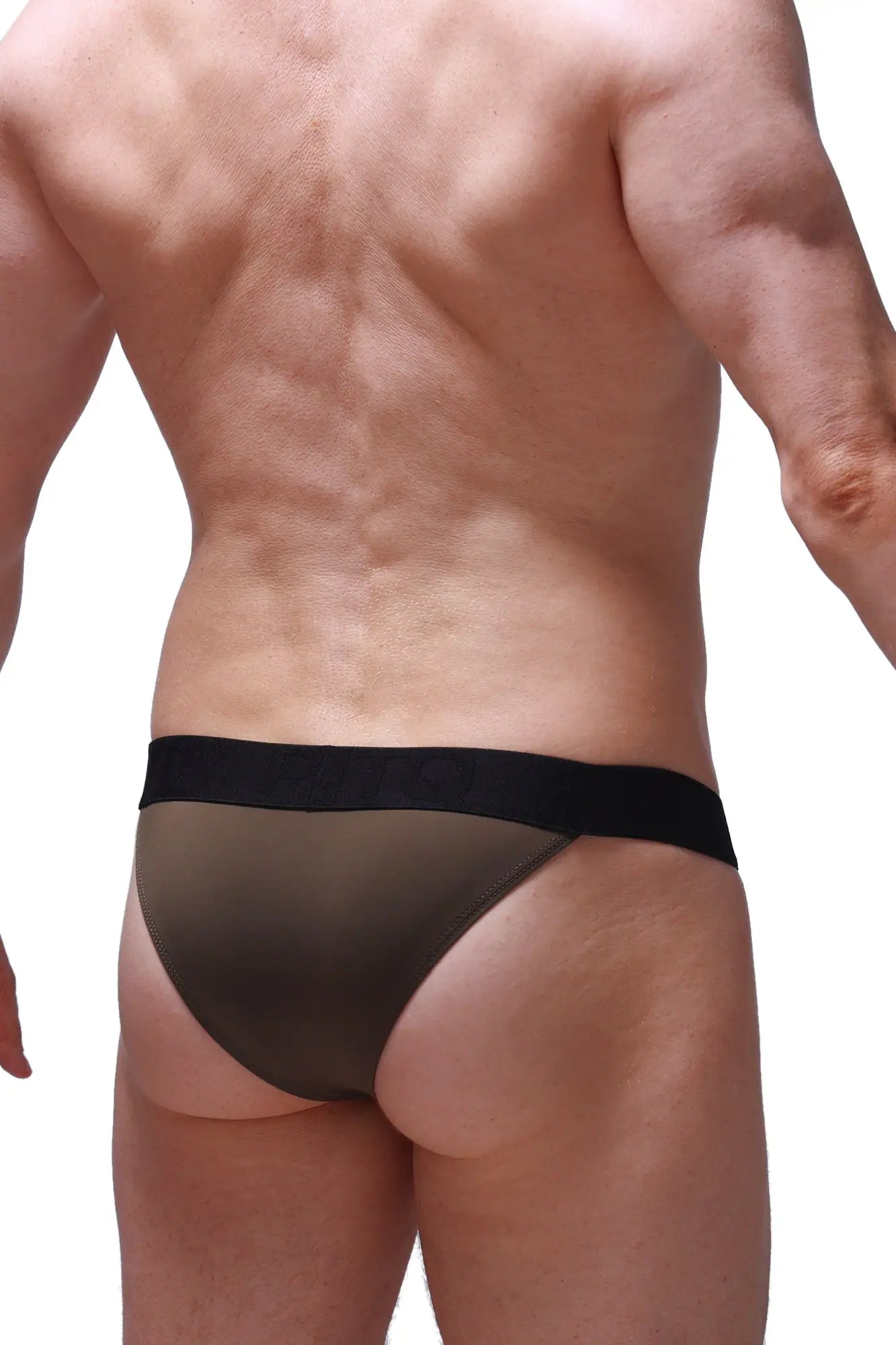 Black mesh bikini briefs with a solid black waistband from the bikini coren olive collection