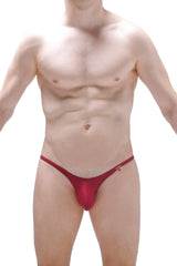 Red form-fitting thong bikini plellis burgundy with small logo on the sideband visible from the back side