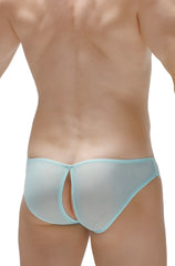 Light blue sheer mesh bikini briefs with thin elastic waistband in a poncy net teal style