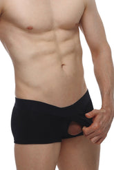 Boxer PetitQ Algo Modal Noir