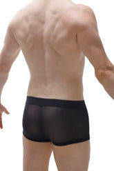 Black sheer mesh briefs with solid black waistband from boxer cockring net black detachable collection front view