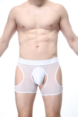 PetitQ Boxer Vey Net White