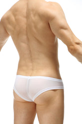 PetitQ Mini Boxer Macau Net Stars