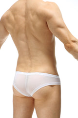 PetitQ Mini Boxer Macau Net Stars