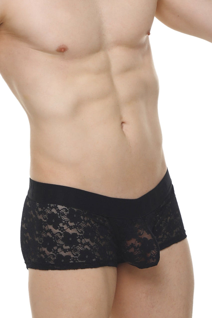 Black lace boxer Algun briefs with sheer floral pattern and solid black waistband for elegant lingerie wear