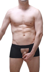 Black mesh boxer sling melin boudoir briefs with solid waistband and open front design