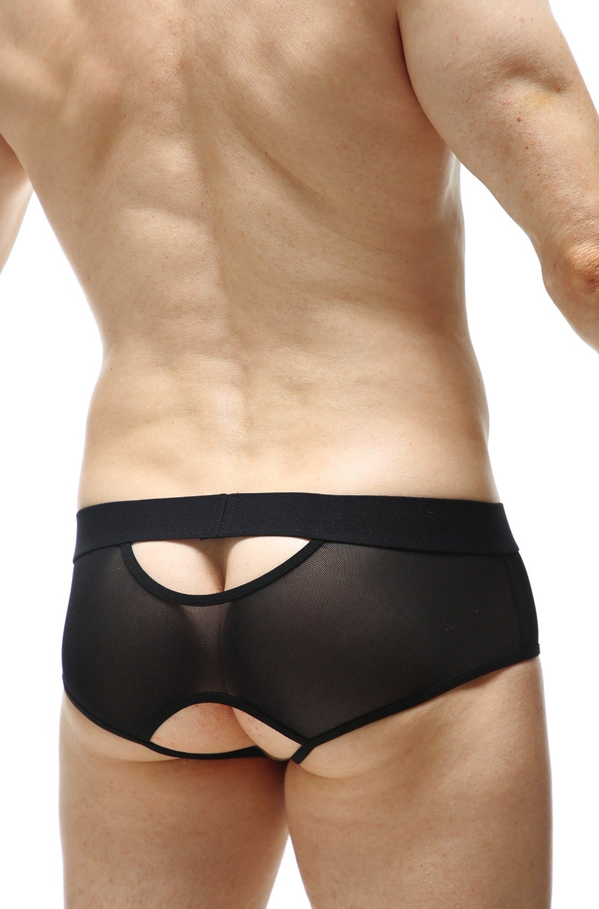 PetitQ brief culan net black black mesh briefs with solid waistband and cutout design