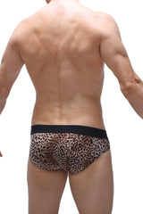 Petitq brief neure panthere leopard-print briefs with black elastic waistband for comfortable everyday wear