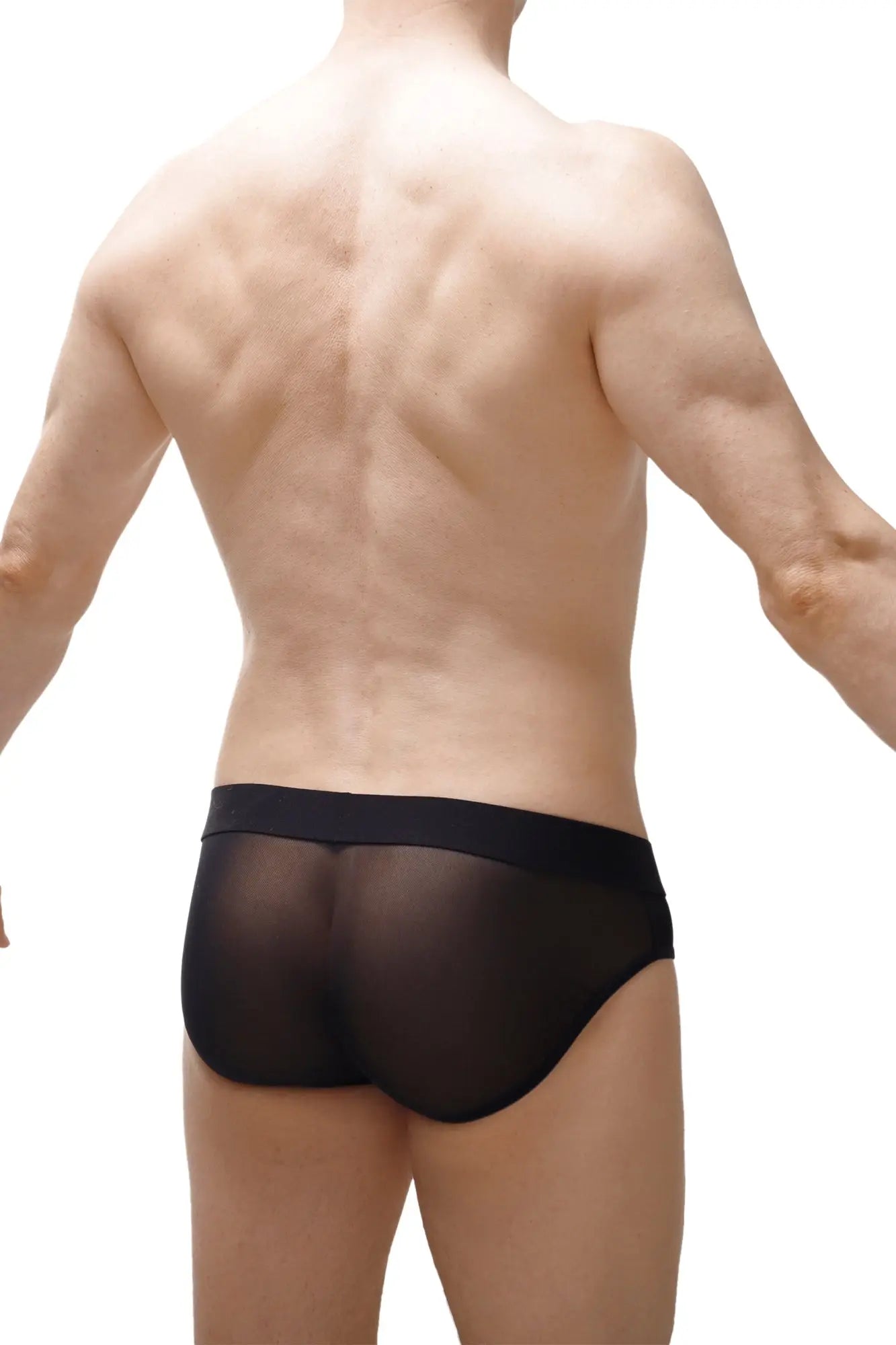Black sheer mesh briefs with a solid black waistband from brief nouans leopard rainbow collection