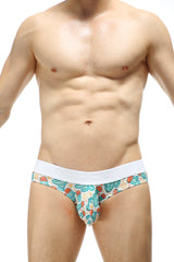 Cactus protubérant glissant