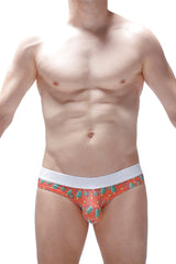 Bref Protruder Reveillon