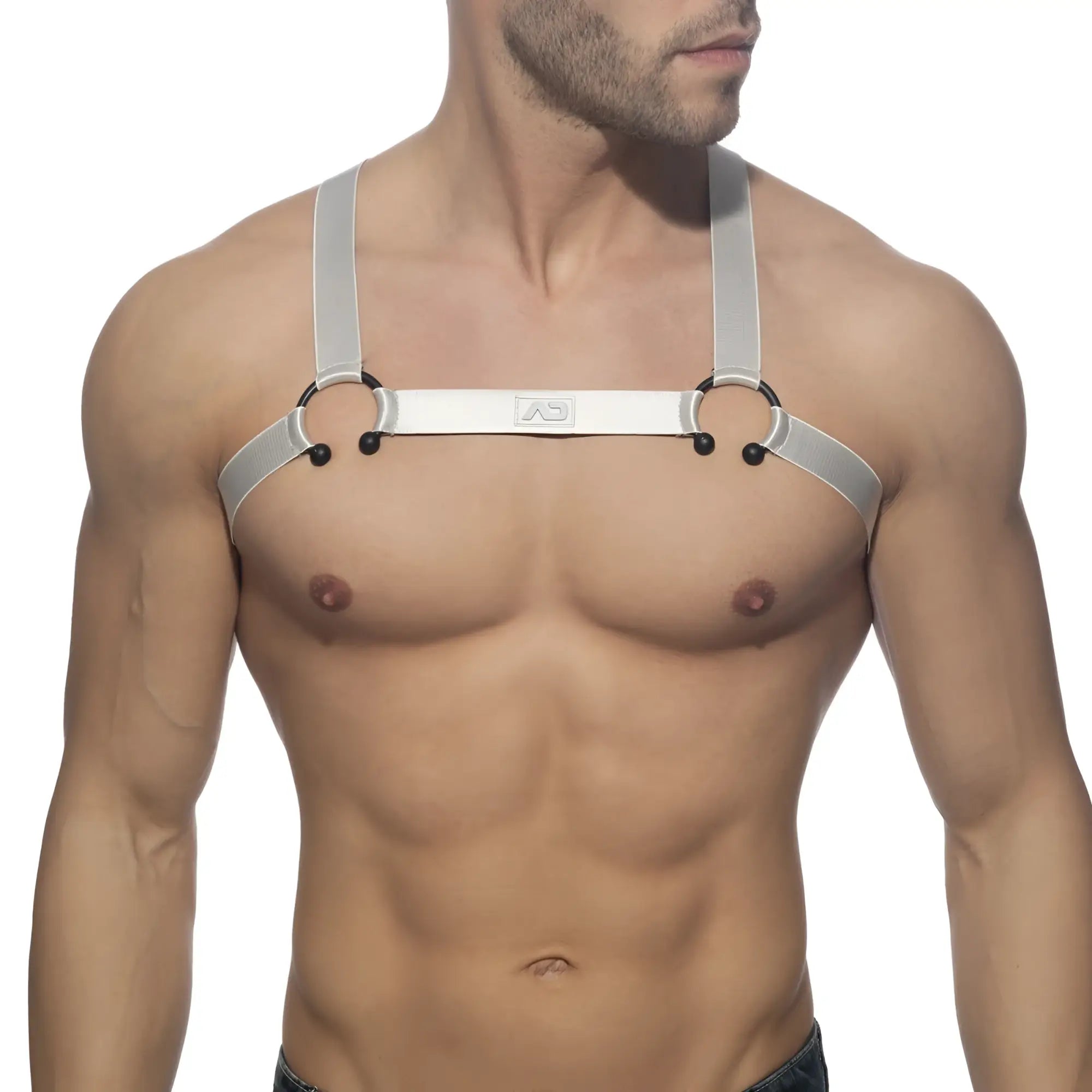 Silver leather bull ring harness with black metal rings and adjustable straps shown from the back side