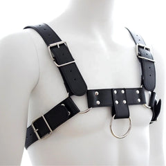 Black leather bulldog harness with silver metal buckles and rings showing front side details