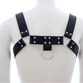 Black leather bulldog harness with silver toned metal rings and studs designed for durable use
