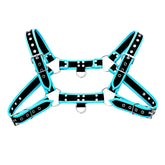 Black and turquoise leather bulldog harness with piping and silver-toned metal hardware shown from the back