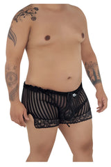 Black sheer striped lace briefs with scalloped hem and floral embroidery candy man 99601x lounge pajama shorts black