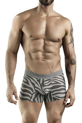 Gray and white zebra-striped boxer briefs with gray elastic waistband featuring clever brand name in color gray