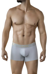 Light gray clever 2026 valladolid trunks boxer briefs with subtle gold clever logo on waistband for comfortable wear