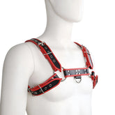 Red and black leather contrast trim harness with silver toned metal hardware for adjustable secure fit