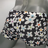 Black briefs daisy sq cut with vibrant white daisies and multicolor centers in pink orange blue and green pattern