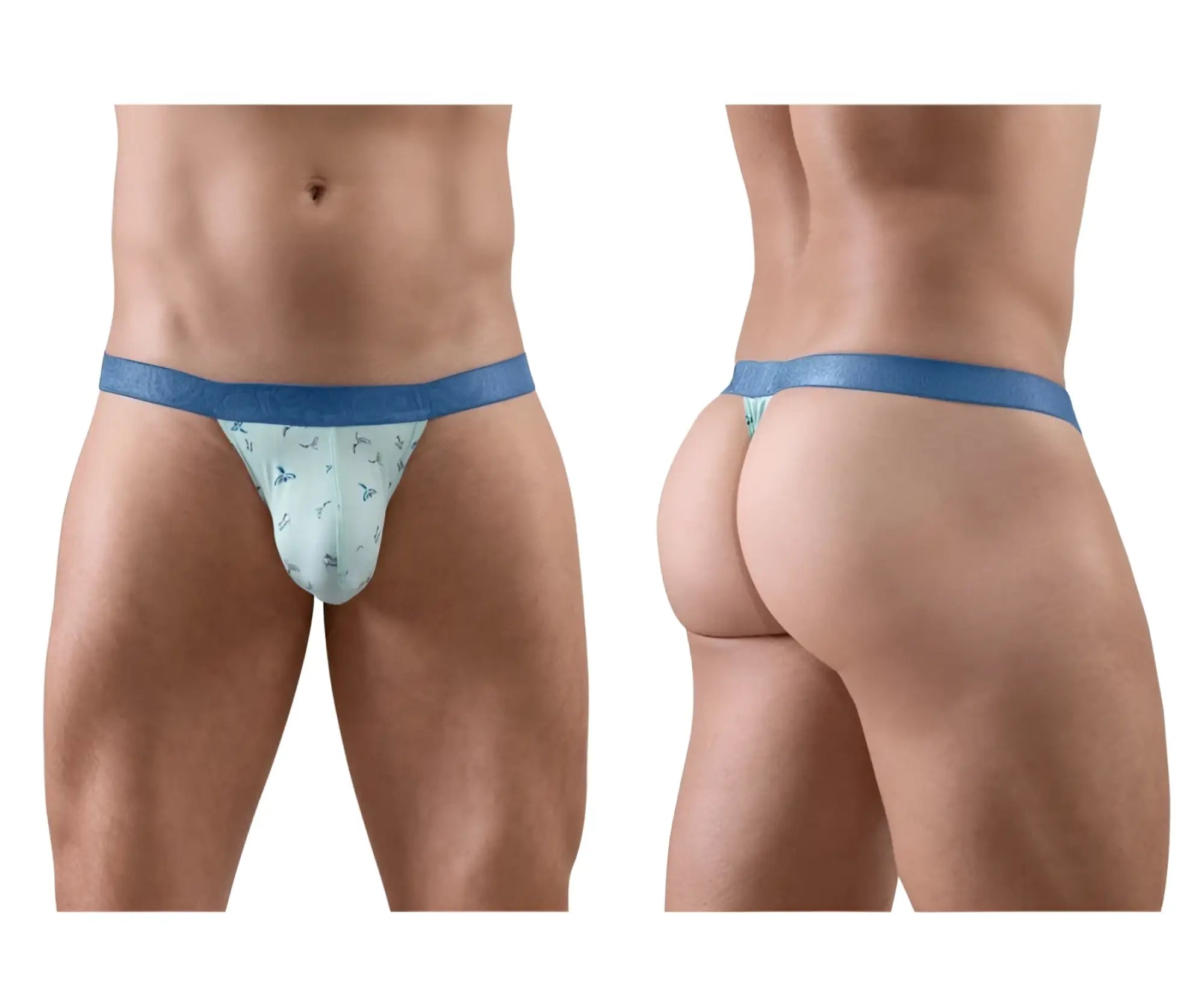 Ergowear ew1776 slk se g-string frost-birds light blue thong with subtle pattern and solid blue waistband front view