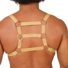 Gold glittery gigo hit harness with silver metal rings and adjustable straps shown from the back side