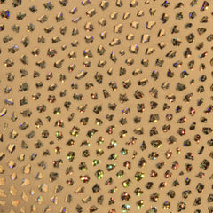 Gold stones trunk featuring gold-toned fabric with iridescent rhinestones in a leopard print pattern