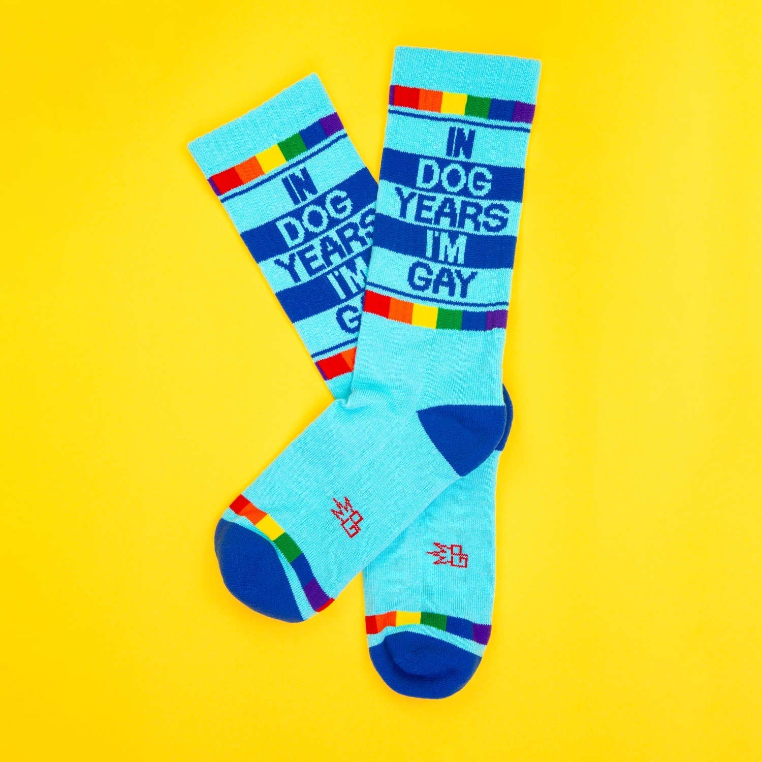 Light blue crew socks with bold navy stripes rainbow accents and the phrase in dog years im gay in navy lettering
