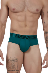 Teal hawai brand green microfiber briefs with black logo band showing front side design and fit