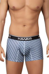 Blue and white patterned Hawai 42420 printed boxer briefs with a black waistband featuring the brand name in white letters