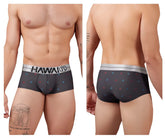 Black Hawai 42530 printed microfiber boxer briefs in gray with silver waistband and subtle red and blue star patterns