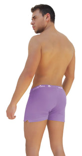 Purple icker sea side slit long boxer brief underwear for men with white logo on waistband