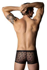 Male power 122-291 love star short black sheer boxer briefs with small black star pattern and ring detail