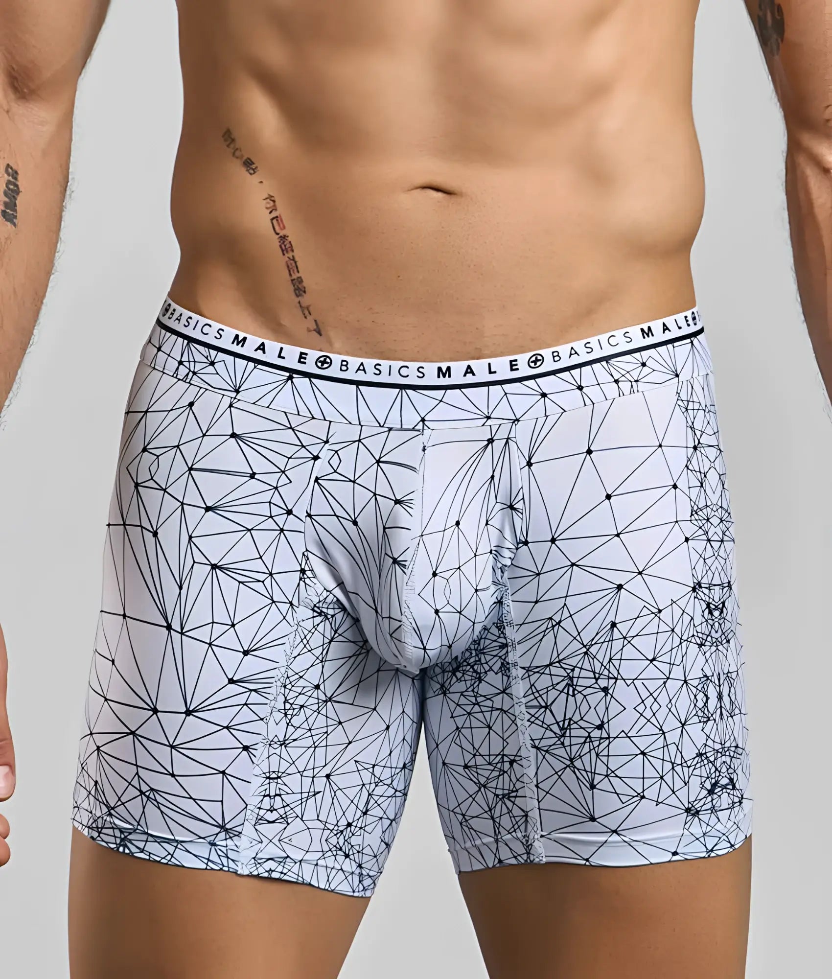 White boxer briefs with black geometric lines and basics male branding on the waistband from malebasics spider hipster collection