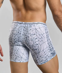 White boxer briefs with black geometric line pattern and basics male branding on waistband malebasics hipster boxer brief spider