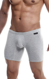 Gray heathered men’s boxer briefs with contoured pouch and black brand tag from malebasics silver plus 3 pack