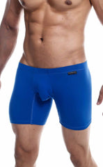MaleBasics Silver plus bright blue form-fitting boxer briefs with smooth fabric and black brand tag on waistband