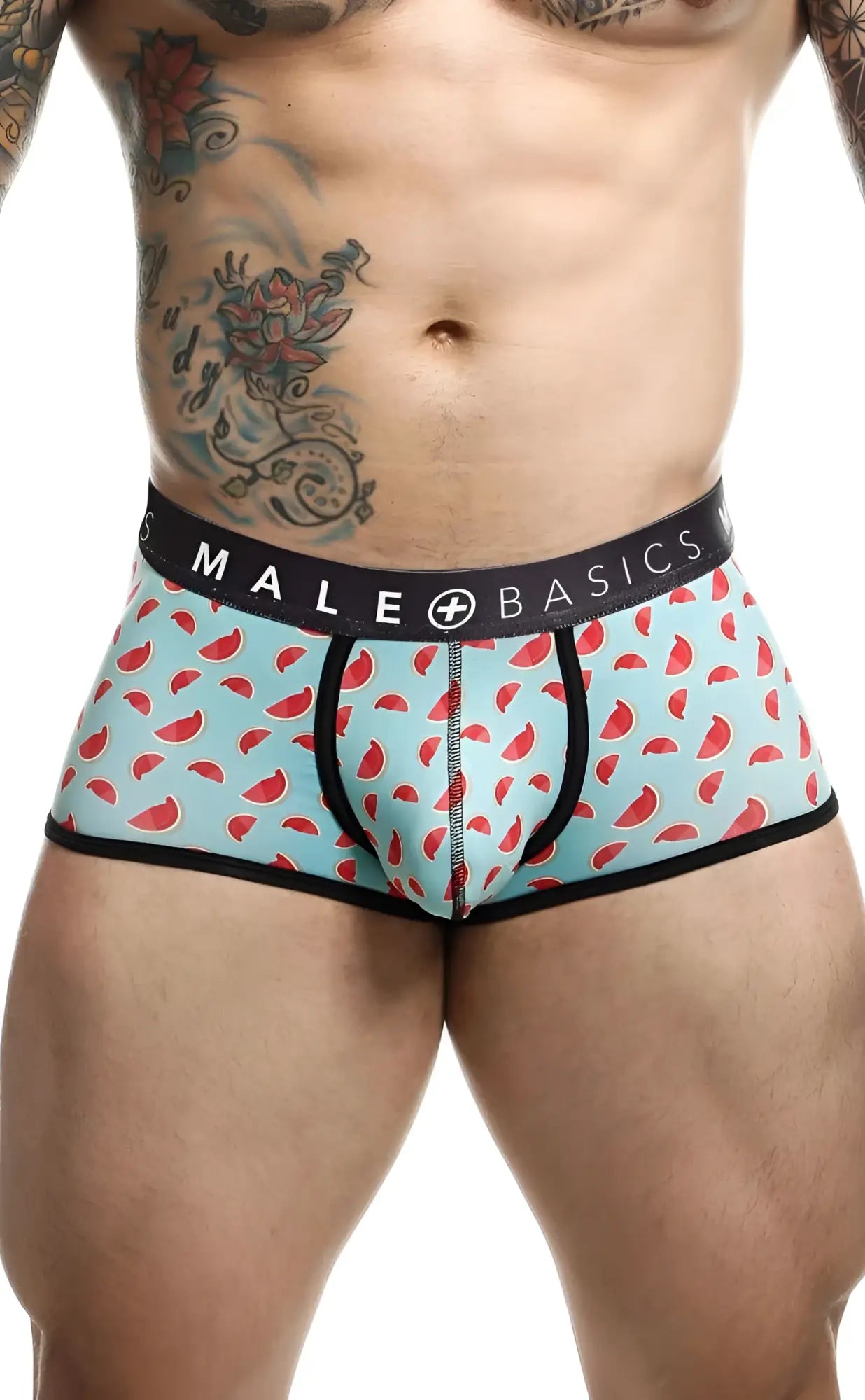 Malebasics trunk sexy pouch light blue watermelon slice pattern men’s briefs with black trim and male basics waistband