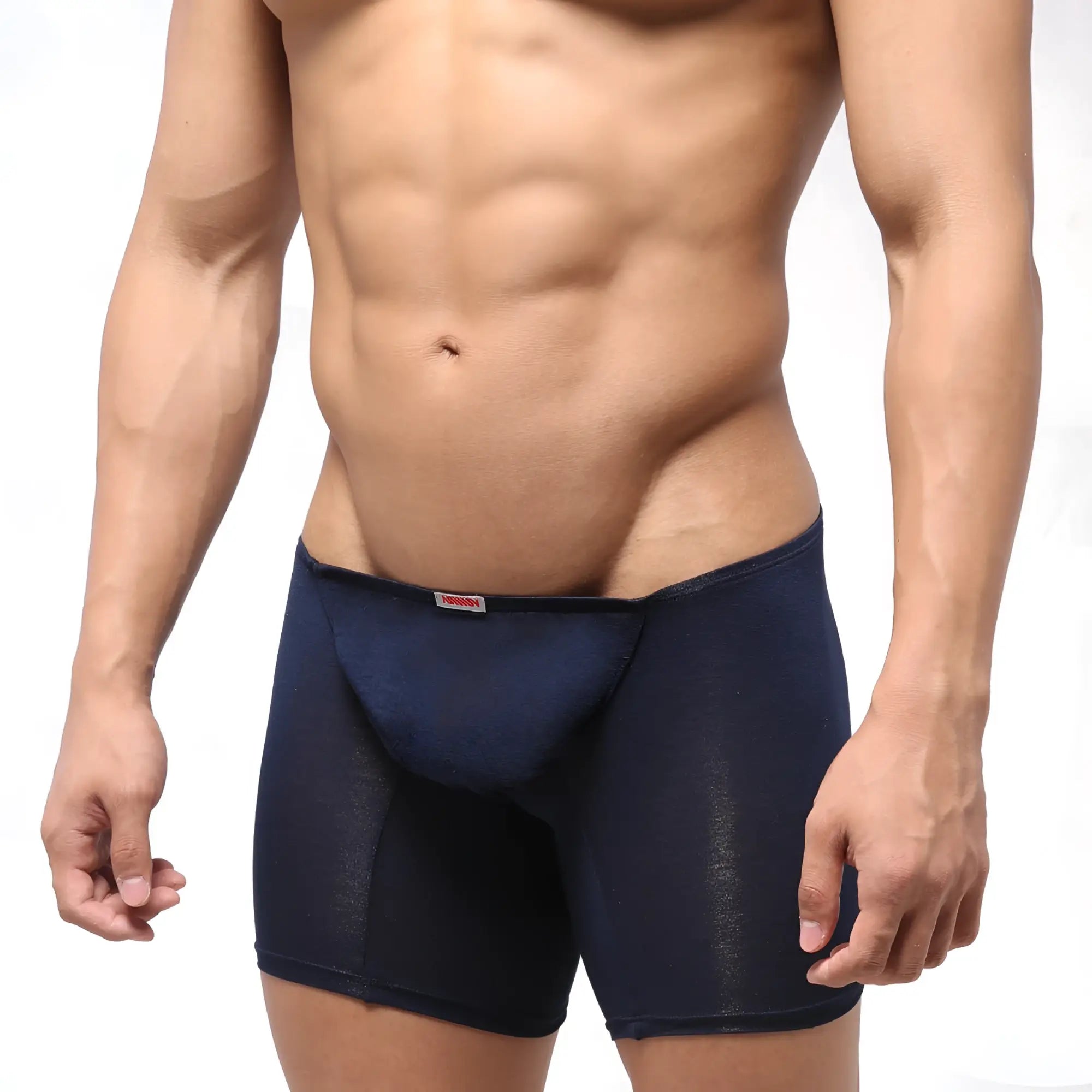 Navy blue sheer mesh briefs with subtle textured pattern and small red brand tag at waistband by MetroMaleWear Bosillo